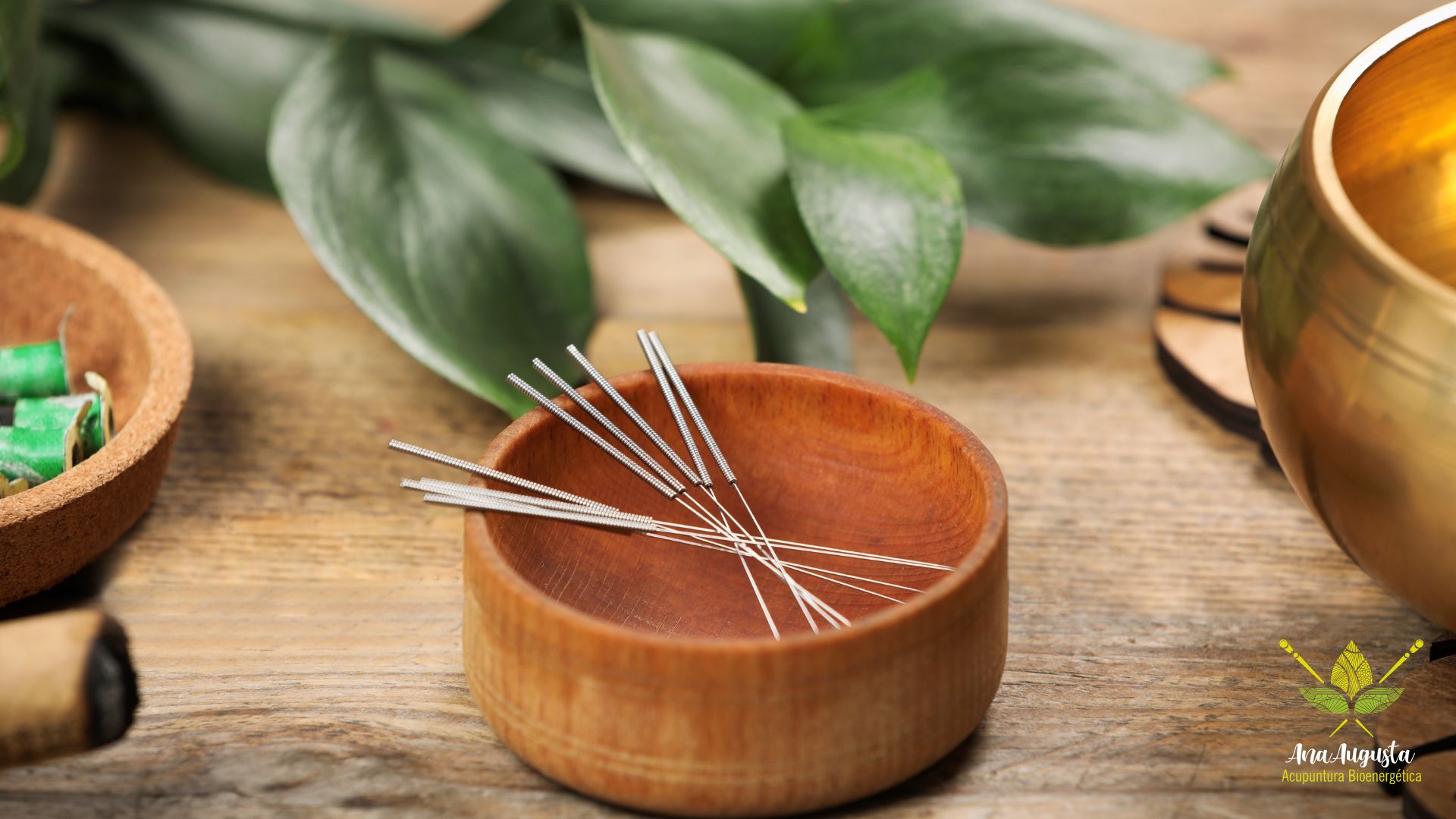 Como a acupuntura fortalece o sistema imunológico